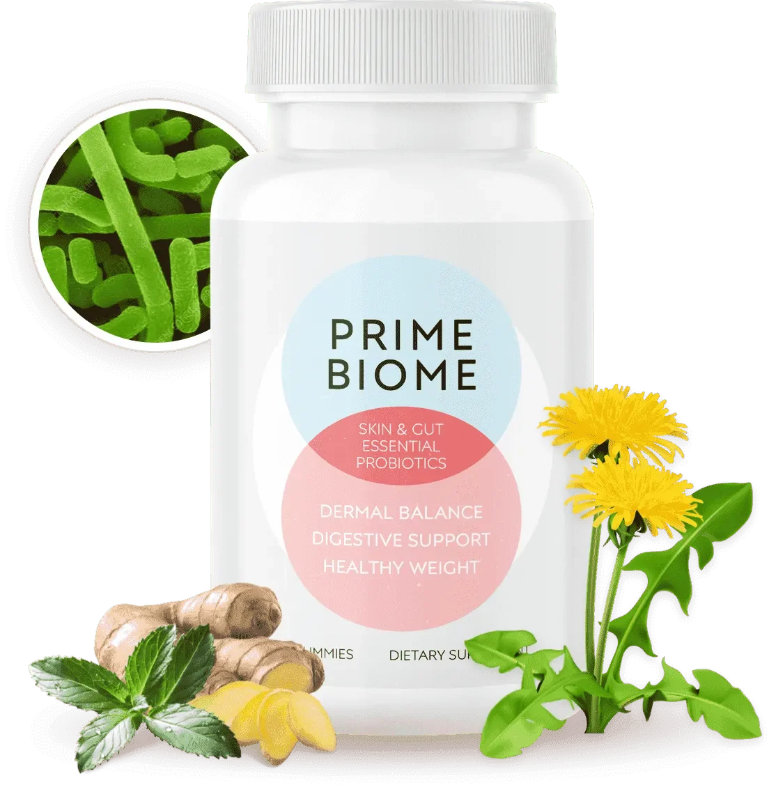 prime biome 